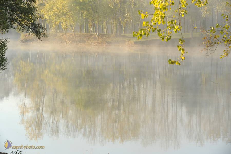 Nom de l'image : D30082689_1_(c)Norbert-JUNG — Description :